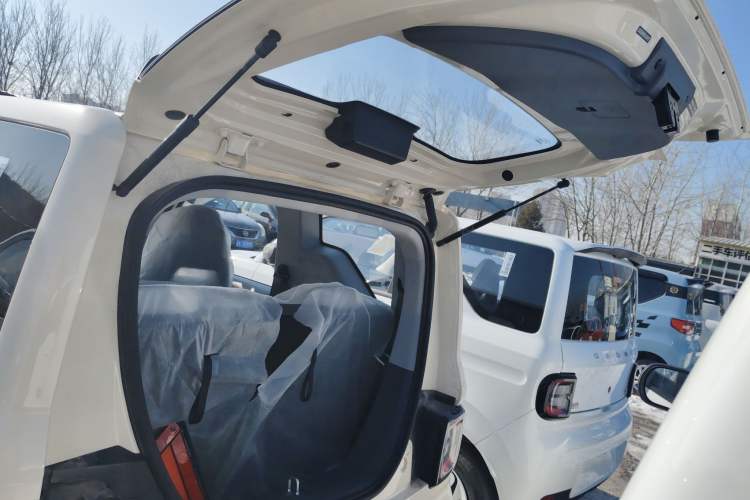 Used  Panda 2025 210 km – Yuanqi Bear
