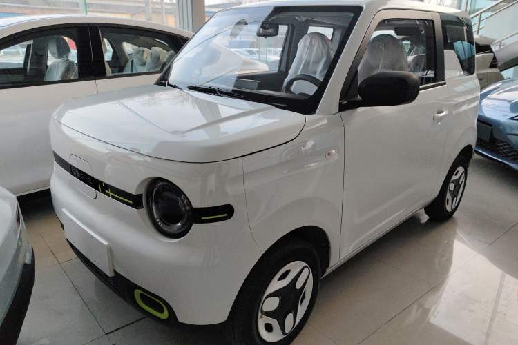 Used  Panda 2025 210 km – Yuanqi Bear
