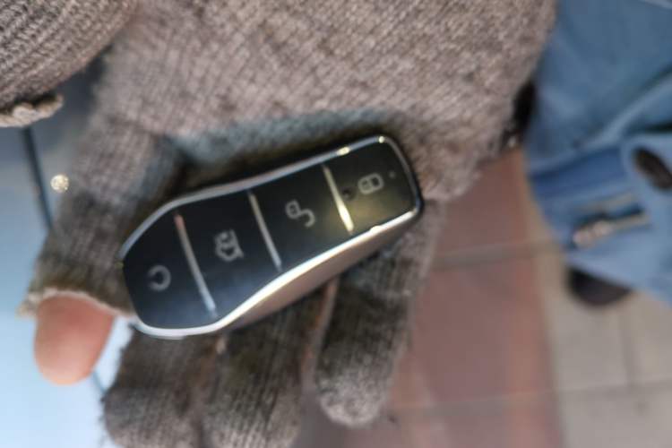 Used BYD Seal 05 DM-i 2025 DM-i Smart Drive 55KM Luxury Model