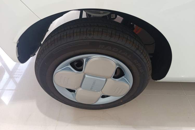 Used  Panda 2024 Panda Mini 200km Endurance Bear
