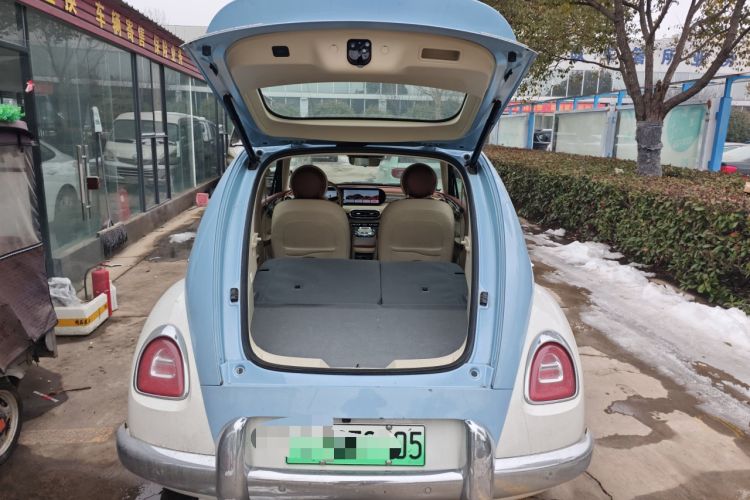 Used ORA Ballet Cat 2023 401 km Luxury Version