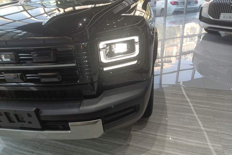 Used Haval Raptor New Energy 