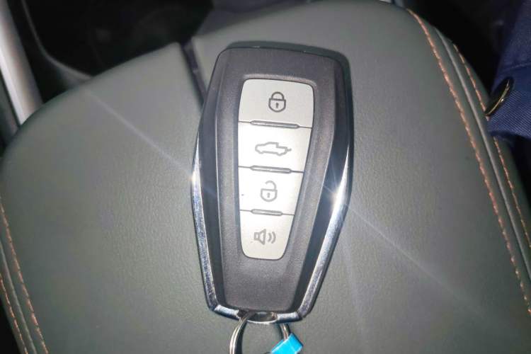 Used Radar Horizon 2024 460 km All-Wheel-Drive Max Version