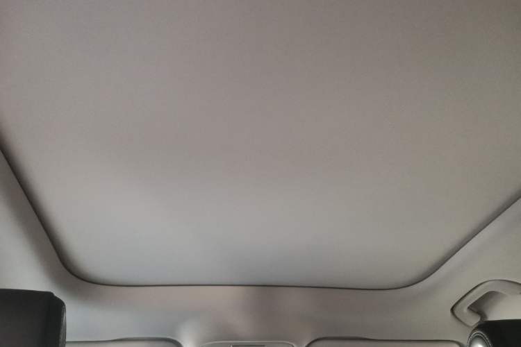 Used  #1 2024 Dynamic Standard Edition
