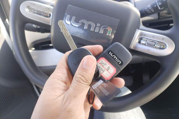 Used  Lumin 2025 205 km Xiangqin Version