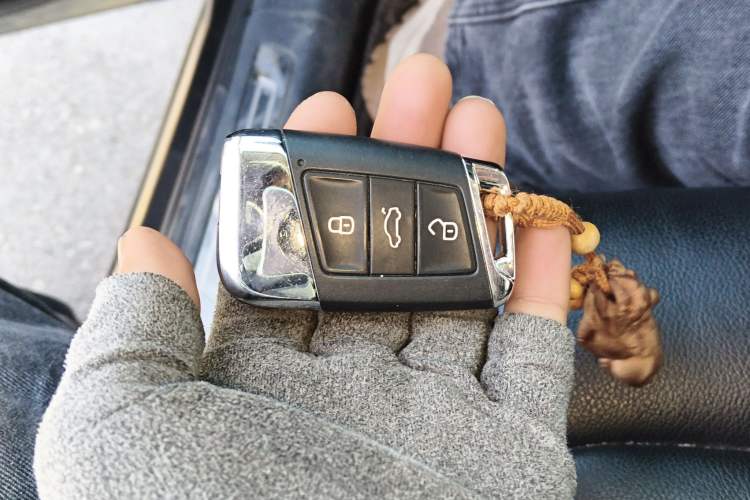 Used Volkswagen Magotan 2019 330TSI DSG Luxury Version China VI Standard
