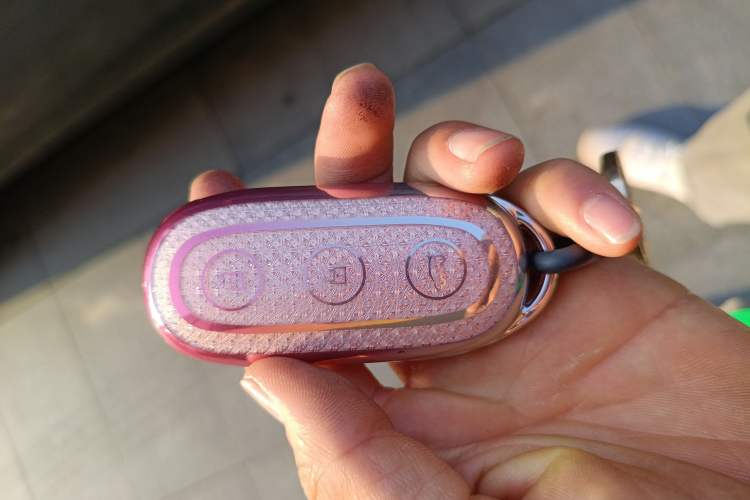 Used Li Auto L9 2022 Max model
