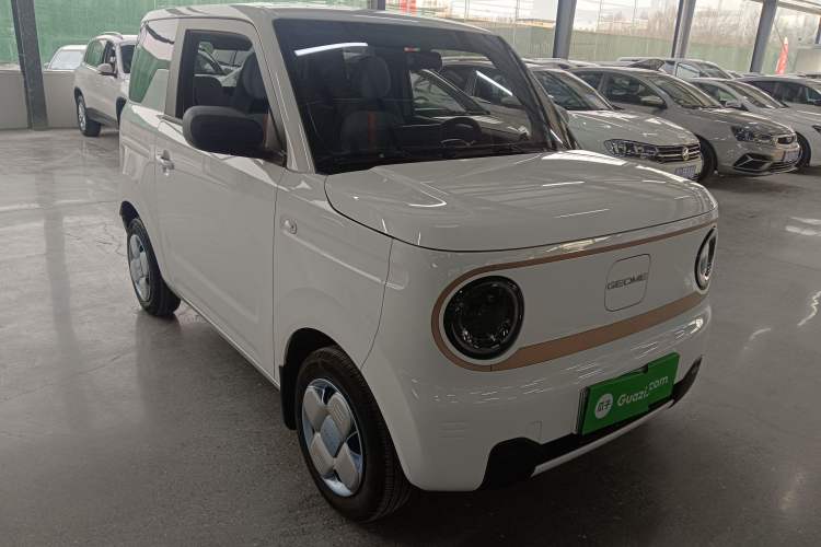 Used  Panda 2024 Panda Mini 200km Endurance Bear