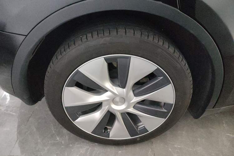 Used Tesla Model Y 2021 Standard Range Rear-Wheel Drive Version