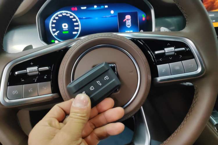 Used Tank 700 New Energy 2024 Hi4-T Extreme Edition
