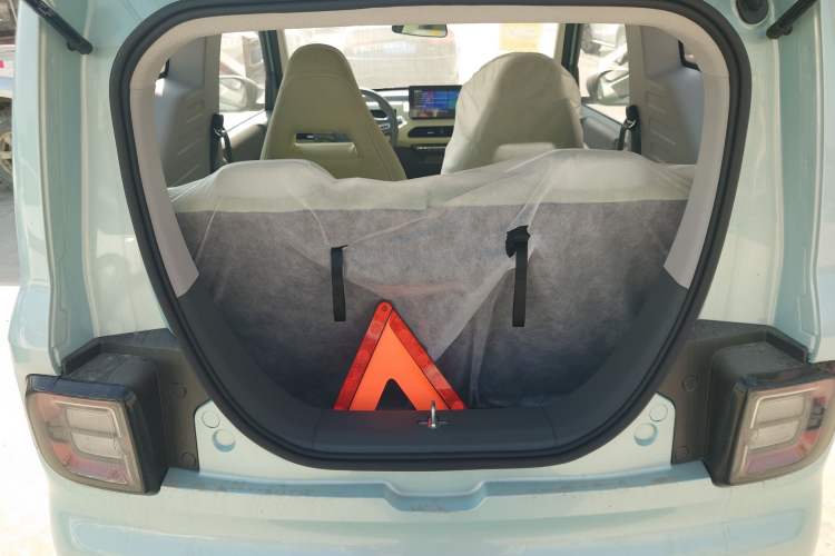 Used  Panda 2024 Panda Mini 200km Endurance Bear
