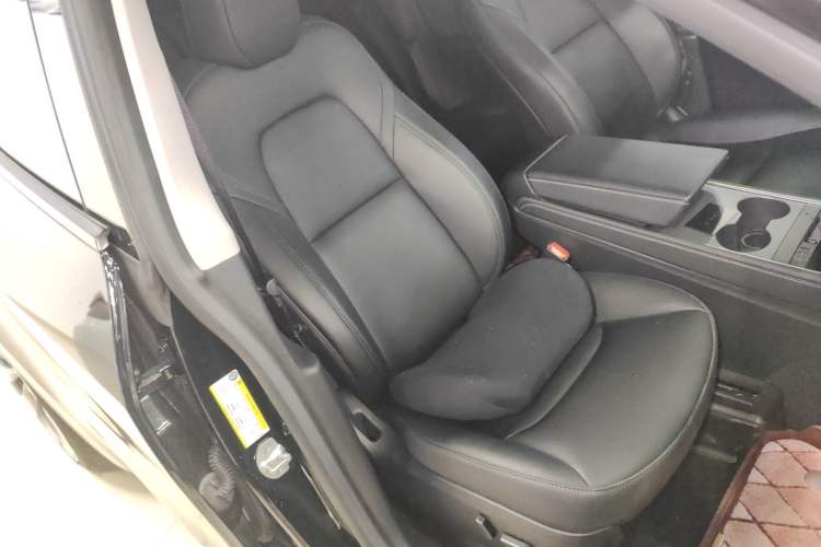 Used Tesla Model Y 2023 High-Performance All-Wheel-Drive Version
