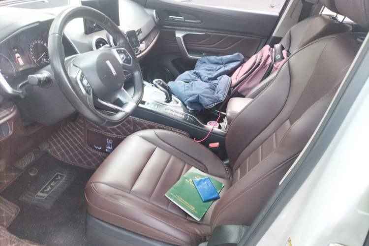 Used Wey VV5 2019 1.5T Two-Wheel Drive Color Pioneer
