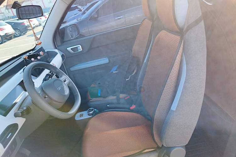 Used  Panda 2024 Panda Mini 200km Dragon Edition
