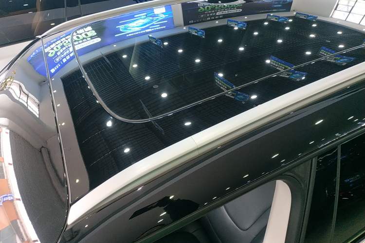 Used  #1 2024 Premium Edition