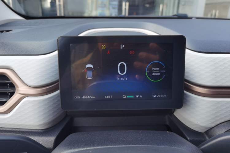 Used SOL E10X 2022 Flower Fairy Design Four-Leaf Clover
