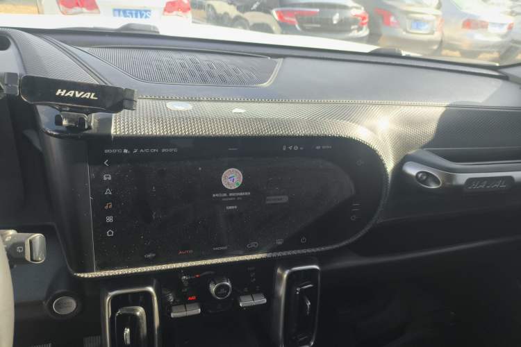 Used Haval DARGO 2021 2.0T DCT 4x4 Chinese Rural Dog Edition
