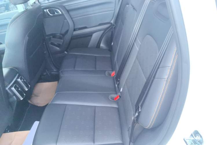 Used Haval DARGO 2024 2.0T DCT Chinese Rural Dog Edition
