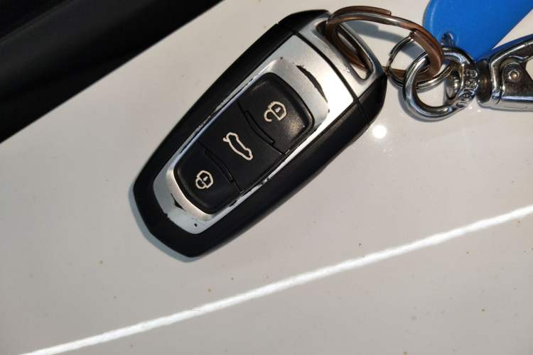 Used  Panda 2023 Panda Mini 200km Dynamic Bear
