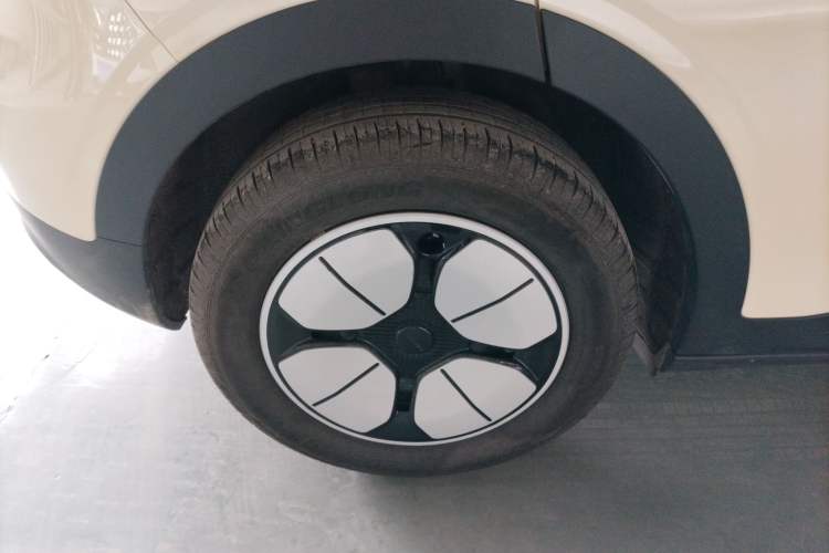 Used  Geome 2025 310km Youth Edition
