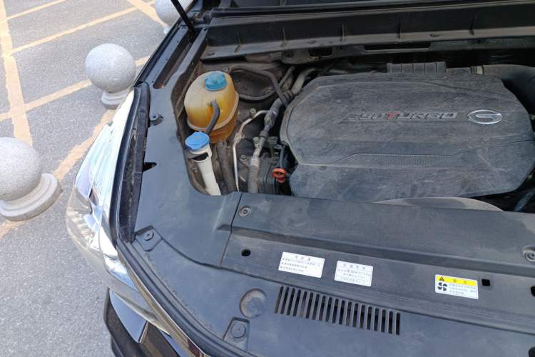 Used GAC Trumpchi GS8 2020 390T Two-Wheel Drive Luxury Smart Connectivity Version (7 Seats)