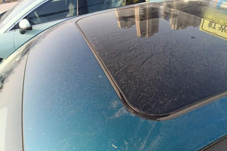 Used ORA Good Cat 2024 401 km Luxury Version