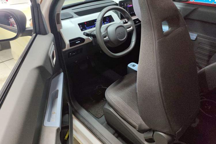 Used  Panda 2024 Panda Mini 200km Endurance Bear
