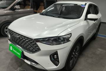 Used Haval F7 2020 2.0T Two-Wheel Drive i-Van