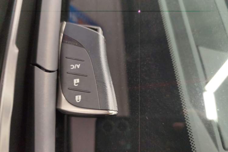 Used Lexus UX New Energy 2020 300e Pure·Joy Edition
