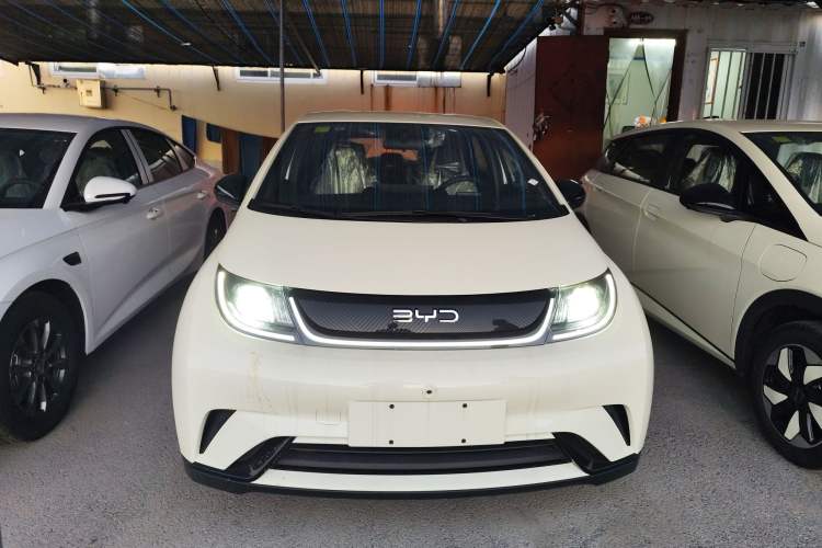 Used BYD Dolphin 2025 420km Free Edition
