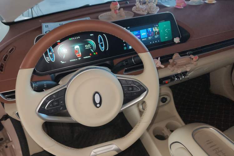 Used ORA Good Cat 2023 401 km Standard Range Luxury Version Lithium Iron Phosphate
