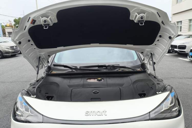 Used  #1 2024 Dynamic Standard Edition
