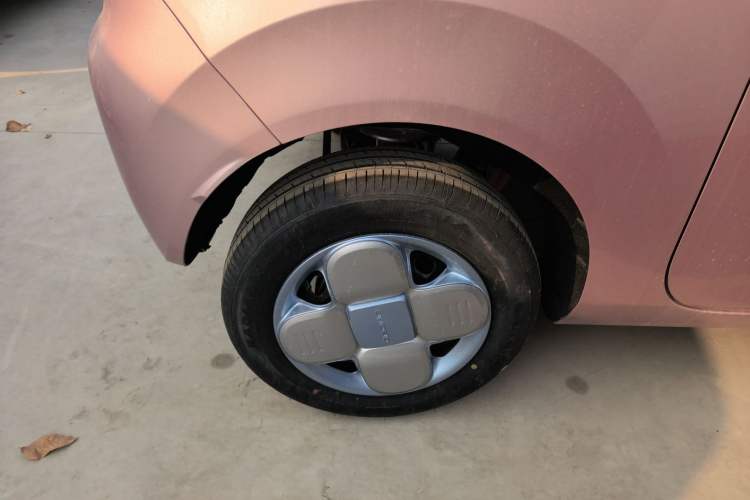 Used  Panda 2024 Panda Mini 200km Endurance Bear
