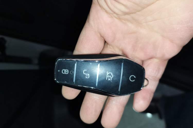 Used BYD Sealion 05 DM-i 2025 DM-i Smart Drive 115KM Flagship Model
