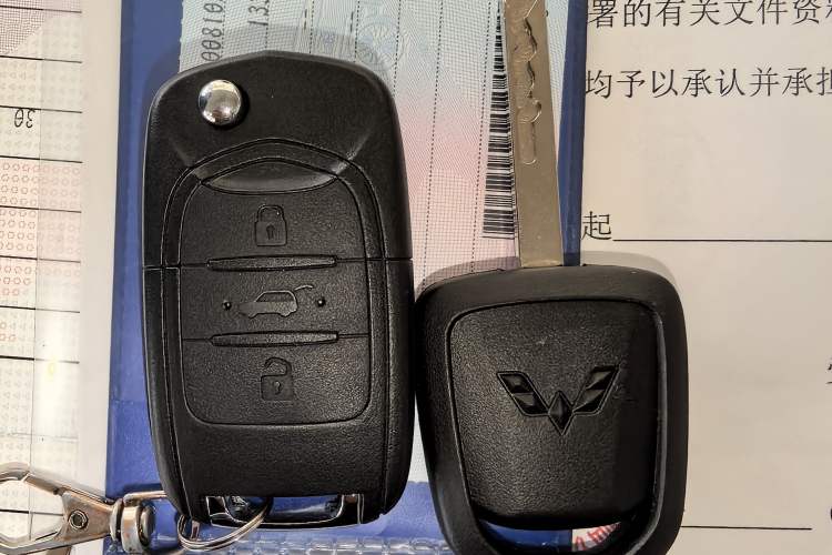 Used Wuling Bingo 2024 203km Light Edition