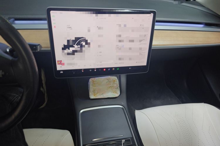 Used Tesla Model 3 2022 Rear-Wheel-Drive Version