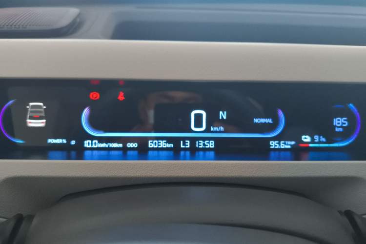 Used  Panda 2024 Panda Mini 200km Endurance Bear
