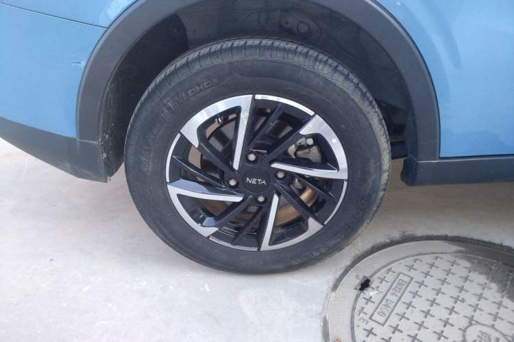 Used NETA V 2021 Long-Range Entertainment Edition Upgrade Model
