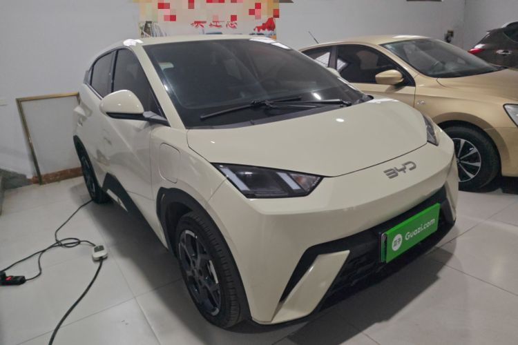 Used BYD Seagull 2025 305 km Free Version
