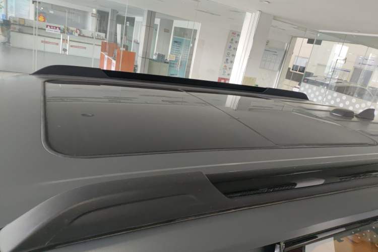 Used Haval Raptor New Energy 
