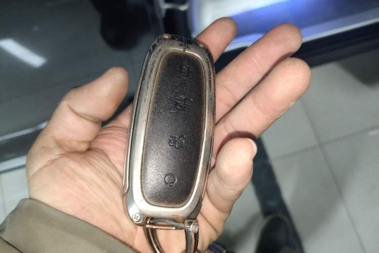 Used Denza D9 2022 DM-i 970 Four-Wheel Drive Flagship Model
