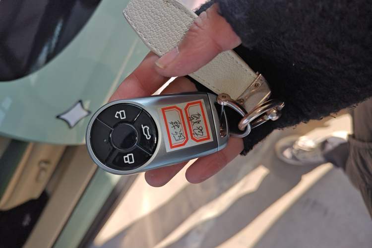 Used ORA Good Cat 2023 401 km Standard Range Prestige Version Lithium Iron Phosphate
