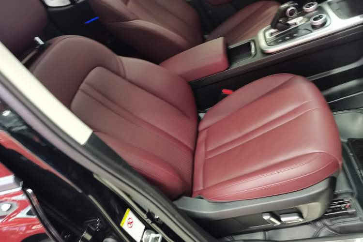 Used Tank 300 2024 2.0T Conqueror