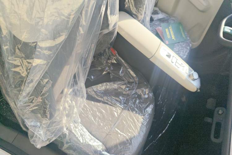 Used Qiyuan Lumin 2025 205 km Xiangqin Version
