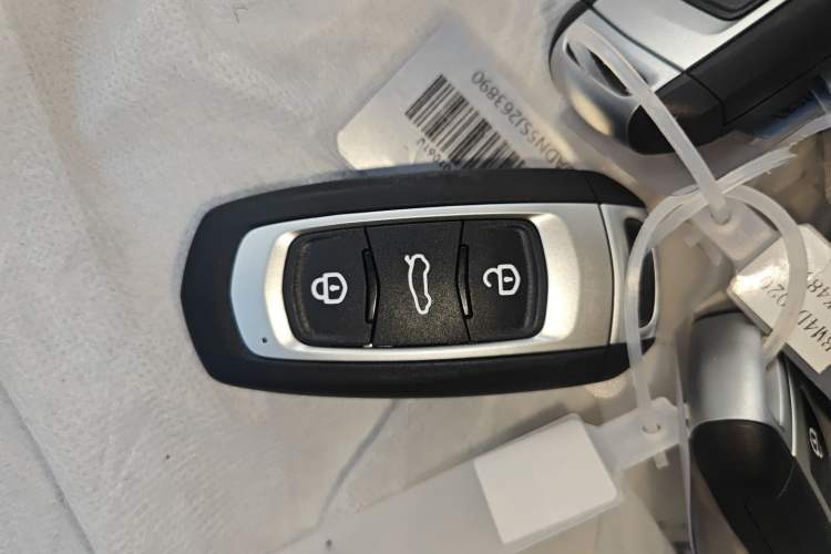 Used  Panda 2025 210 km – Yuanqi Bear