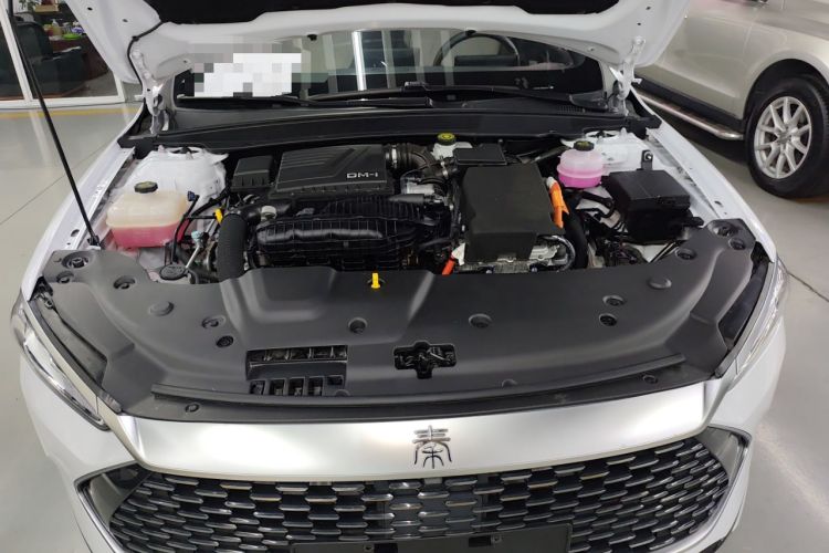 Used BYD Qin PLUS 2023 Champion Edition DM-i 55KM Leading Model
