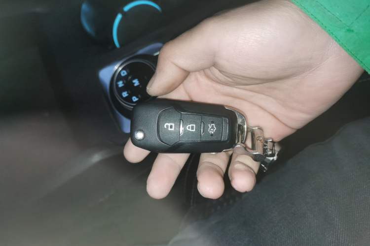 Used Ford Focus 2019 Hatchback EcoBoost 180 Automatic Trendy Model