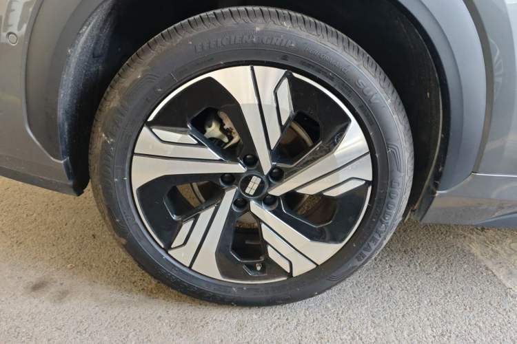 Used  E5 2024 530km Starship Edition
