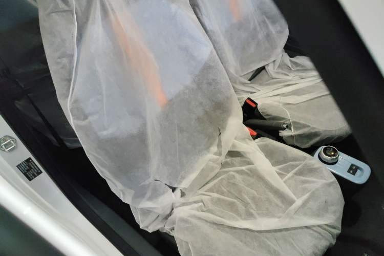 Used  Panda 2024 Panda Mini 200km Endurance Bear
