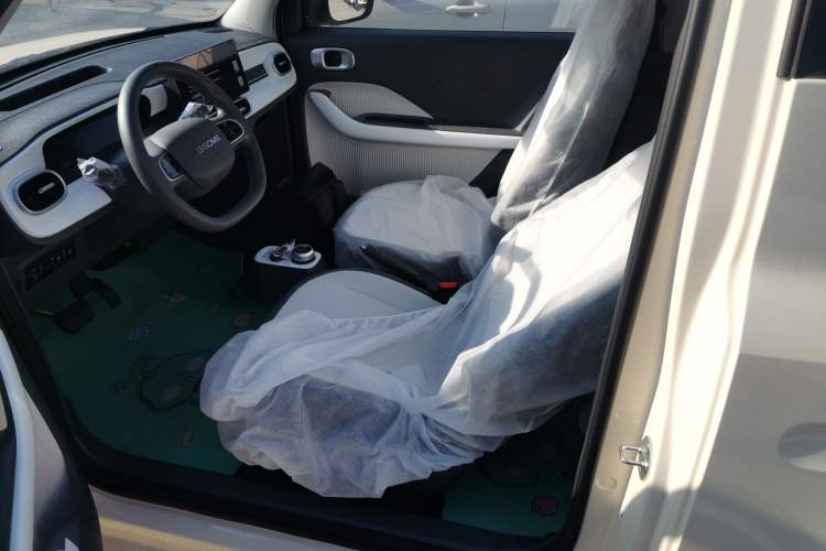 Used  Panda 2025 210 km – Yuanqi Bear
